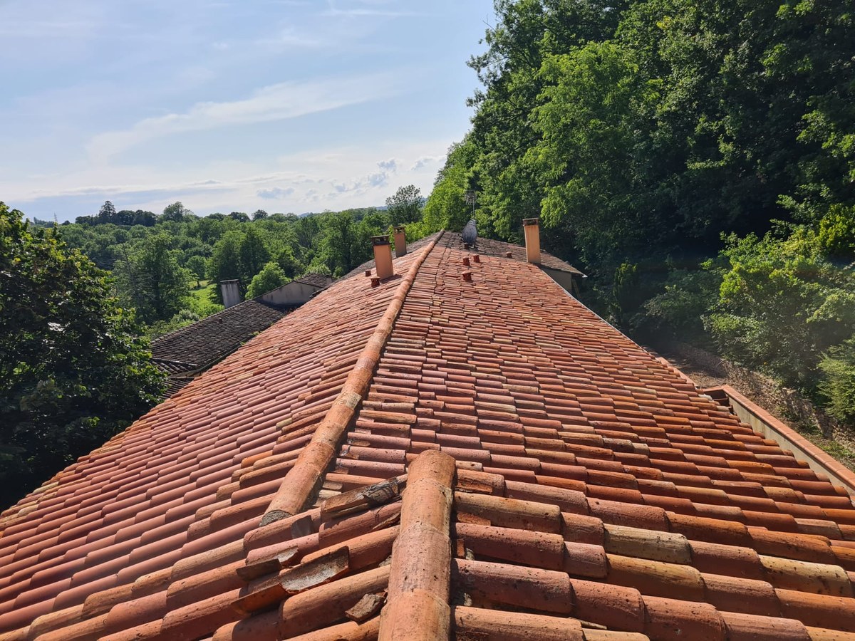Toiture après nettoyage de la mousse