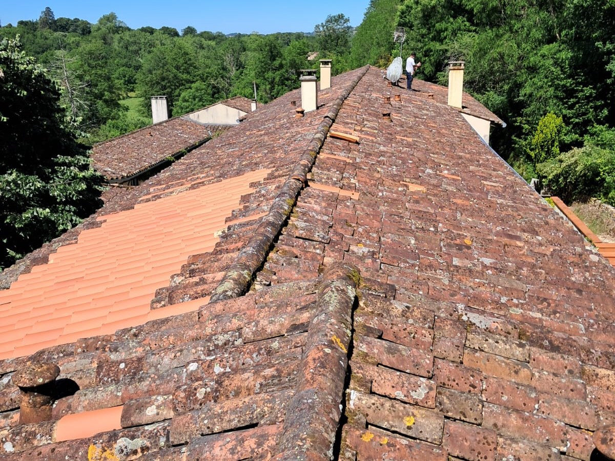 Toiture avant nettoyage de la mousse