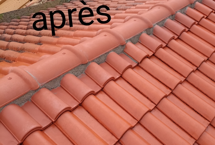 Toiture restaurée — Pyrénées-Orientales